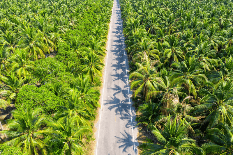 Sustainable farming practices